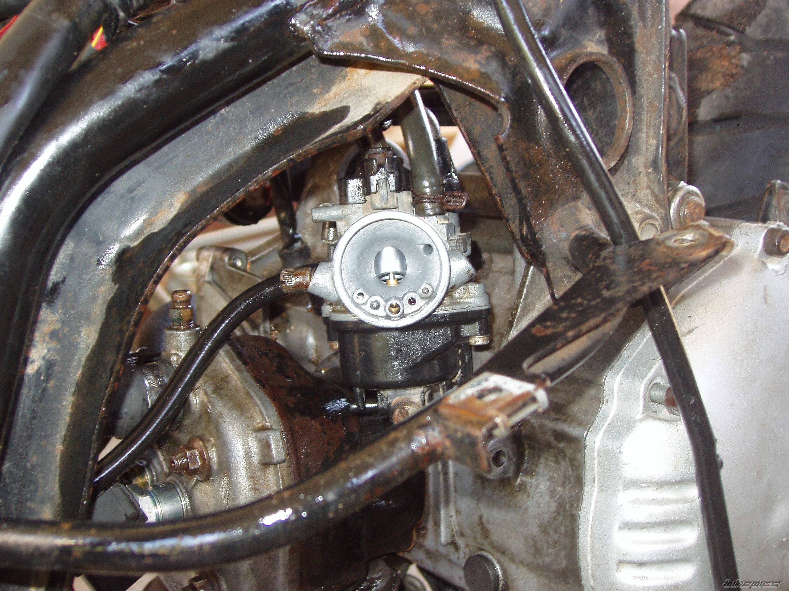 1996 APRILIA SR 50 | Picture 367281 motorcycle photo