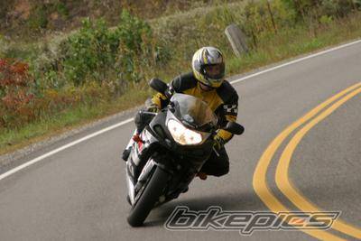 2003 SUZUKI GSX R 600 | Picture 368003 motorcycle photo