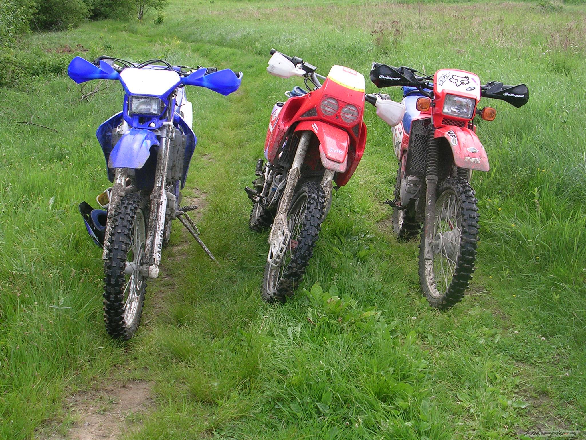 1990 APRILIA TUAREG RALLY 125 | Picture 368322 motorcycle photo