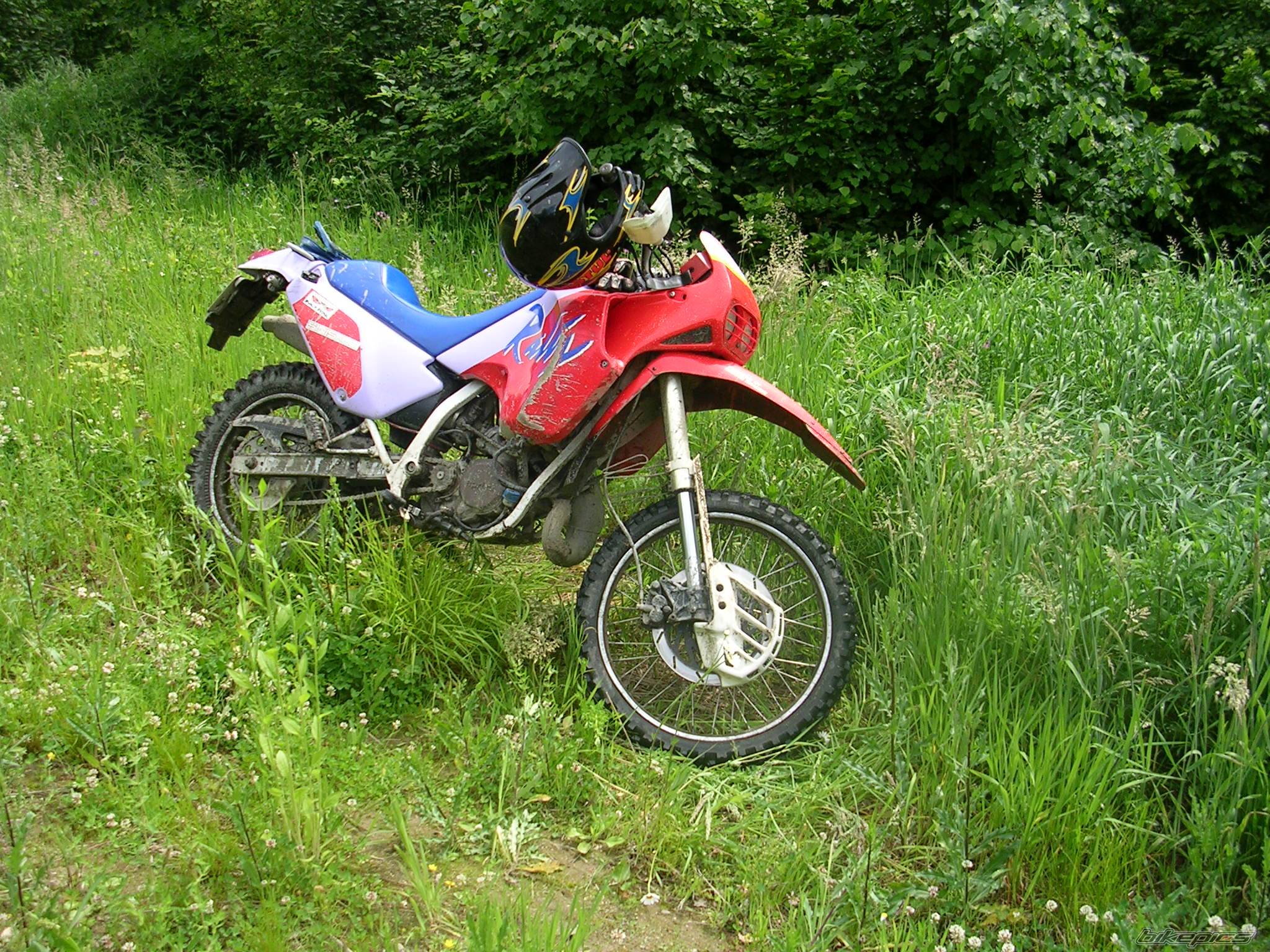 1990 APRILIA TUAREG RALLY 125 | Picture 368331 motorcycle photo