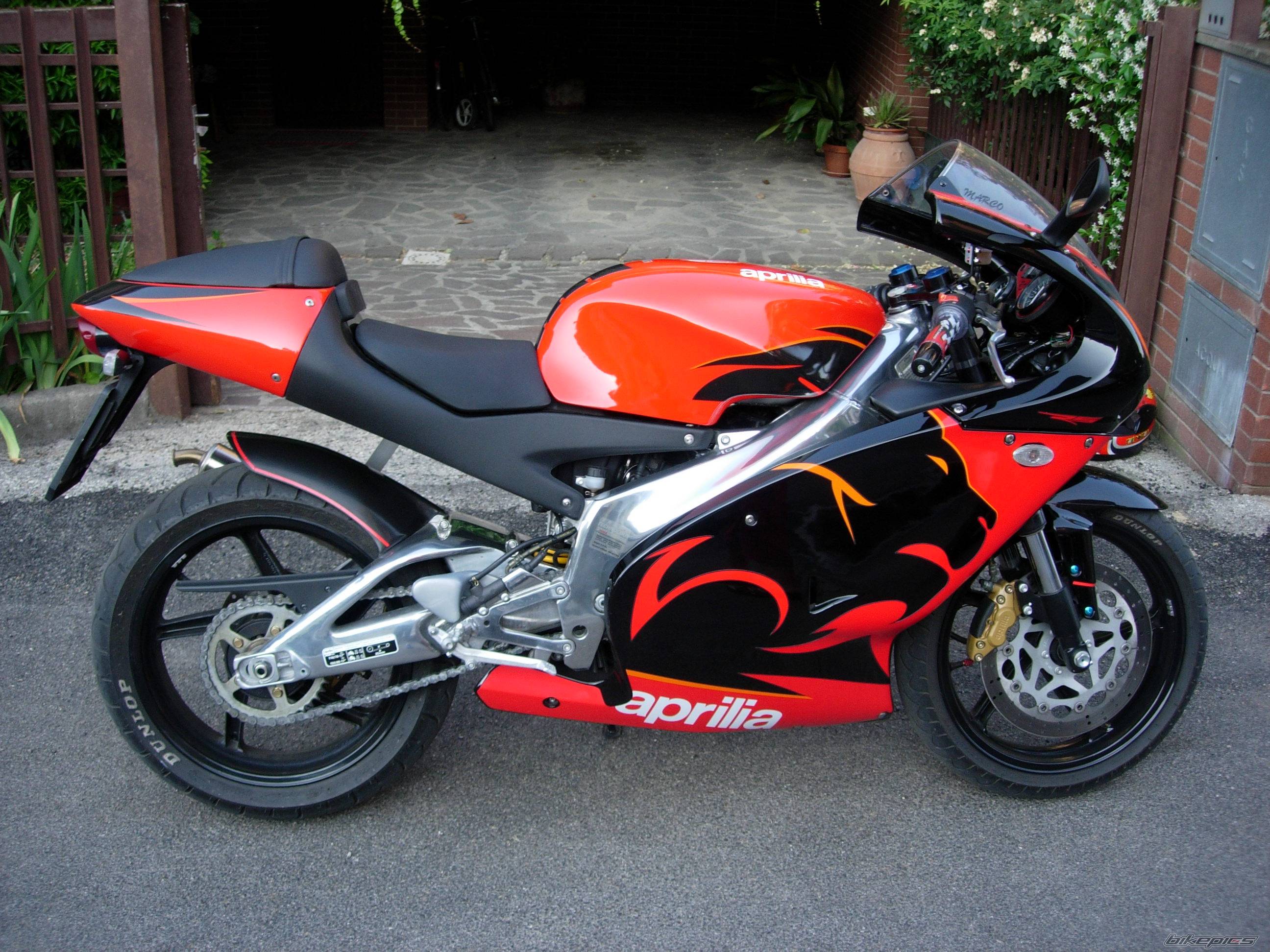 2005 APRILIA RS 125 | Picture 368393 motorcycle photo