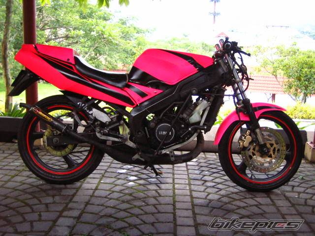 2005 YAMAHA TZM 150 | Picture 368485 motorcycle photo