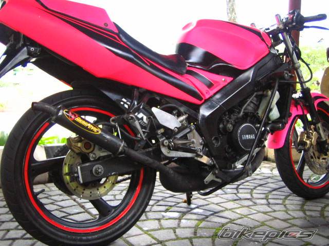 2005 YAMAHA TZM 150 | Picture 368486 motorcycle photo