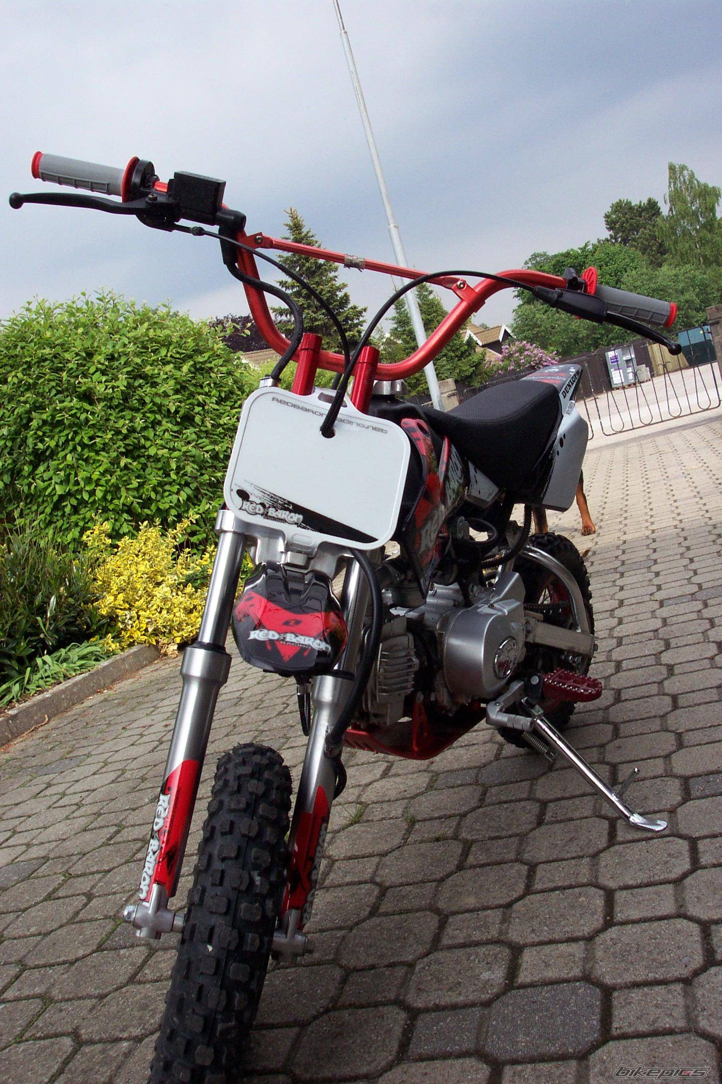 2005 HONDA CRF 50 | Picture 368572 motorcycle photo