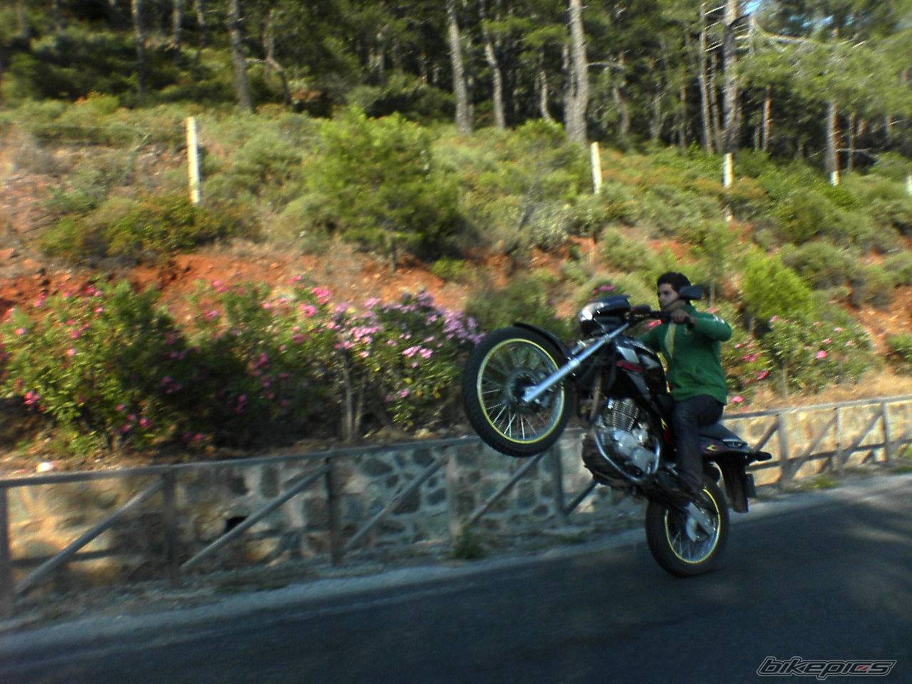 2005 HONDA NX 4 FALCON | Picture 368901 motorcycle photo