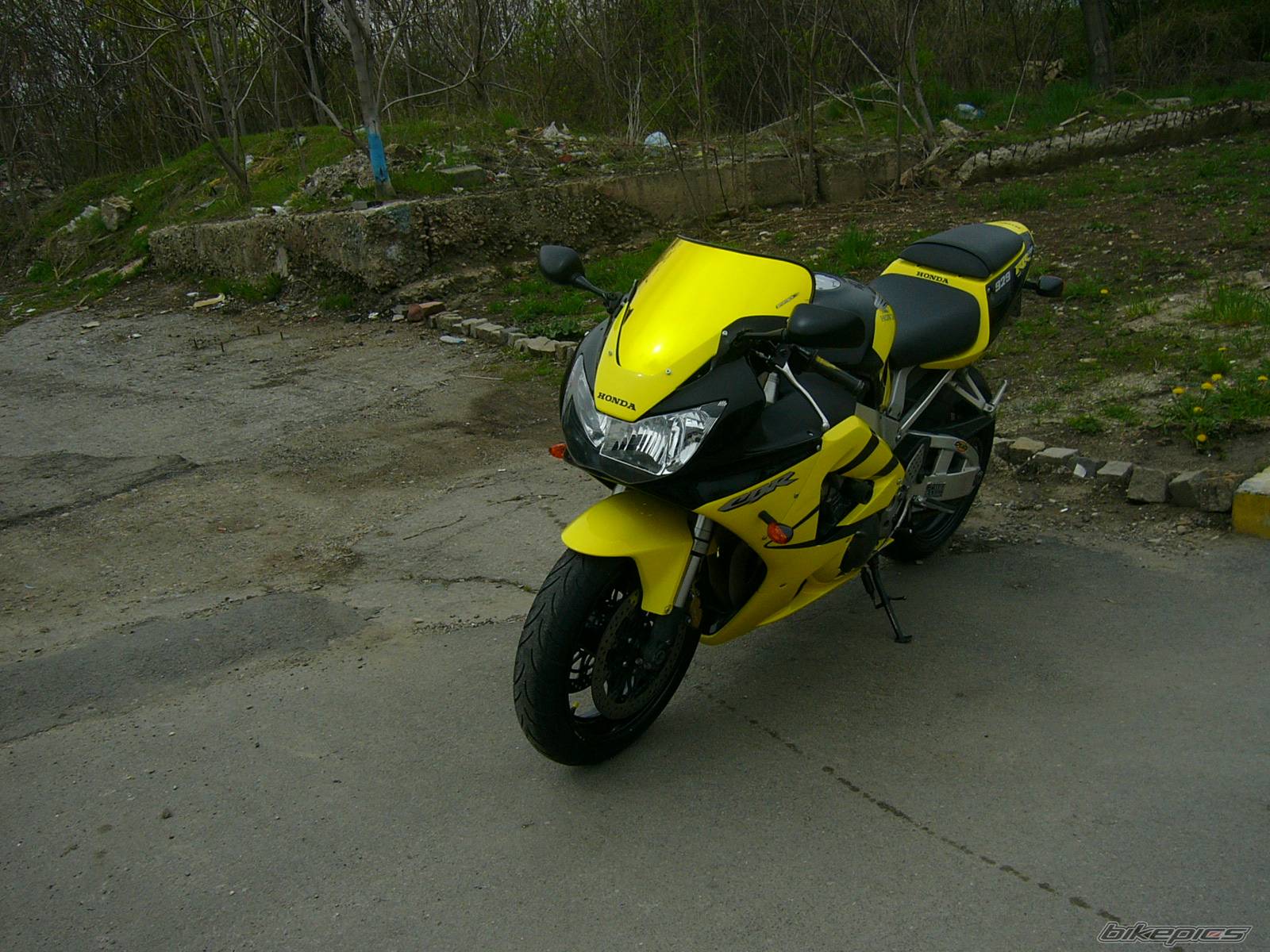 2000 HONDA CBR 900 | Picture 369028 motorcycle photo