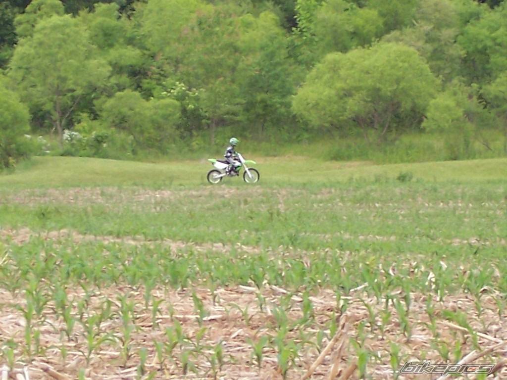 2004 KAWASAKI KX 85 | Picture 369200 motorcycle photo
