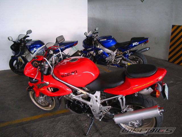 2000 SUZUKI TL1000S | Picture 369259 motorcycle photo