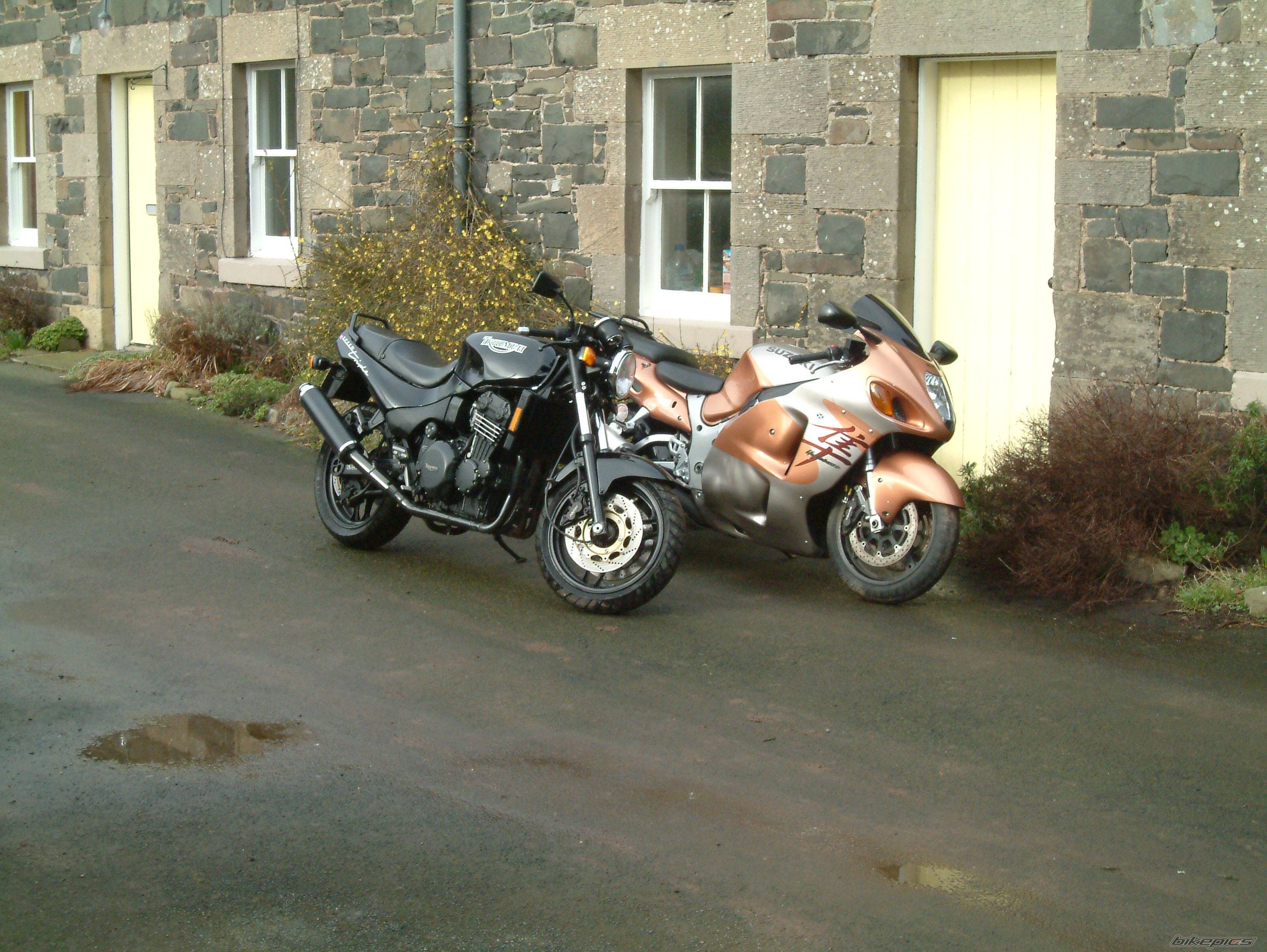 1996 TRIUMPH SPEED TRIPLE | Picture 369287 motorcycle photo