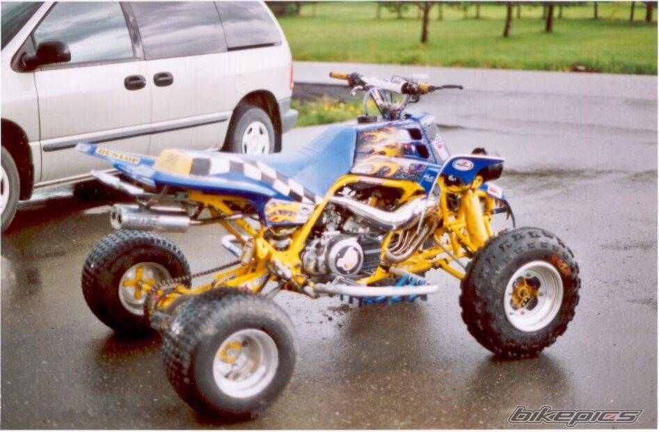 2000 YAMAHA BANSHEE | Picture 36951 motorcycle photo