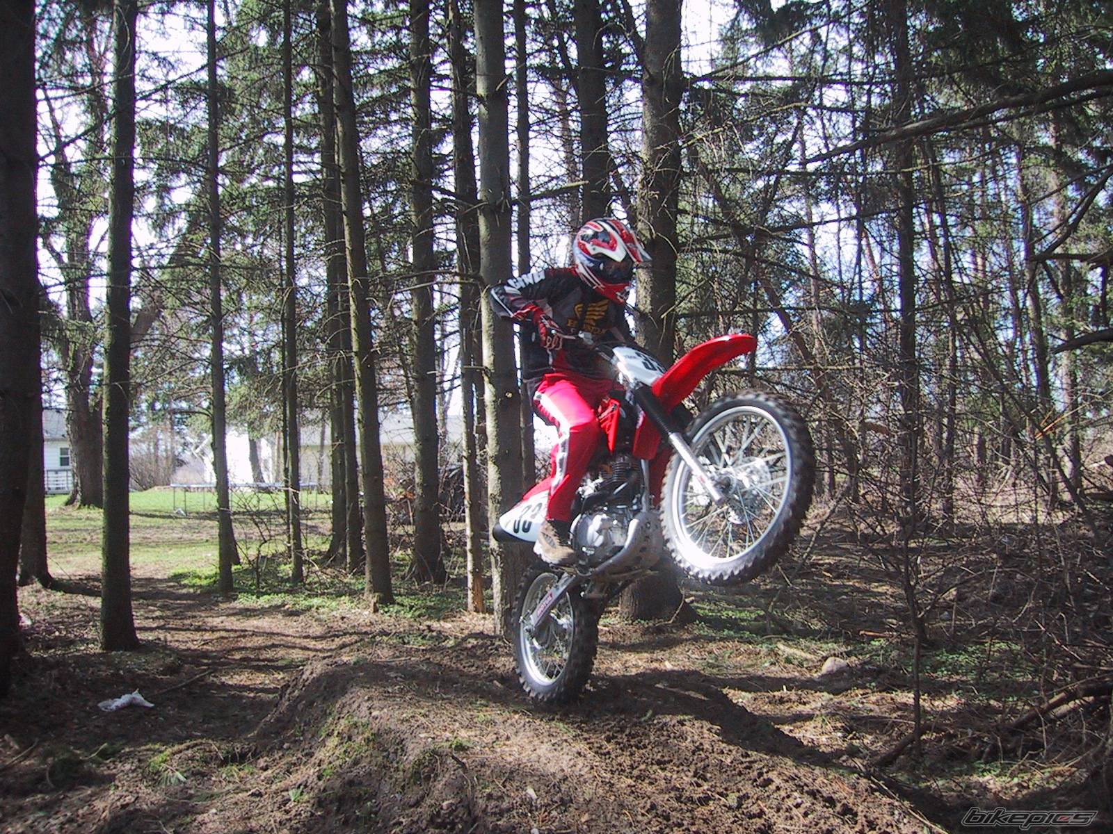 2004 HONDA CRF 230 | Picture 369776 motorcycle photo