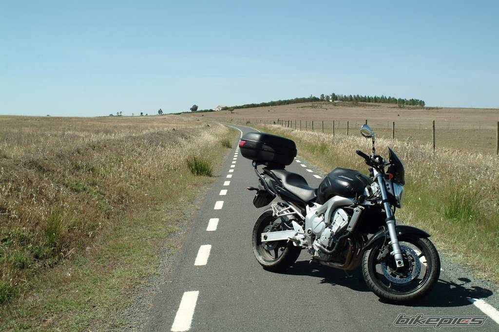 2004 YAMAHA FZ6 FAZER | Picture 369831 motorcycle photo