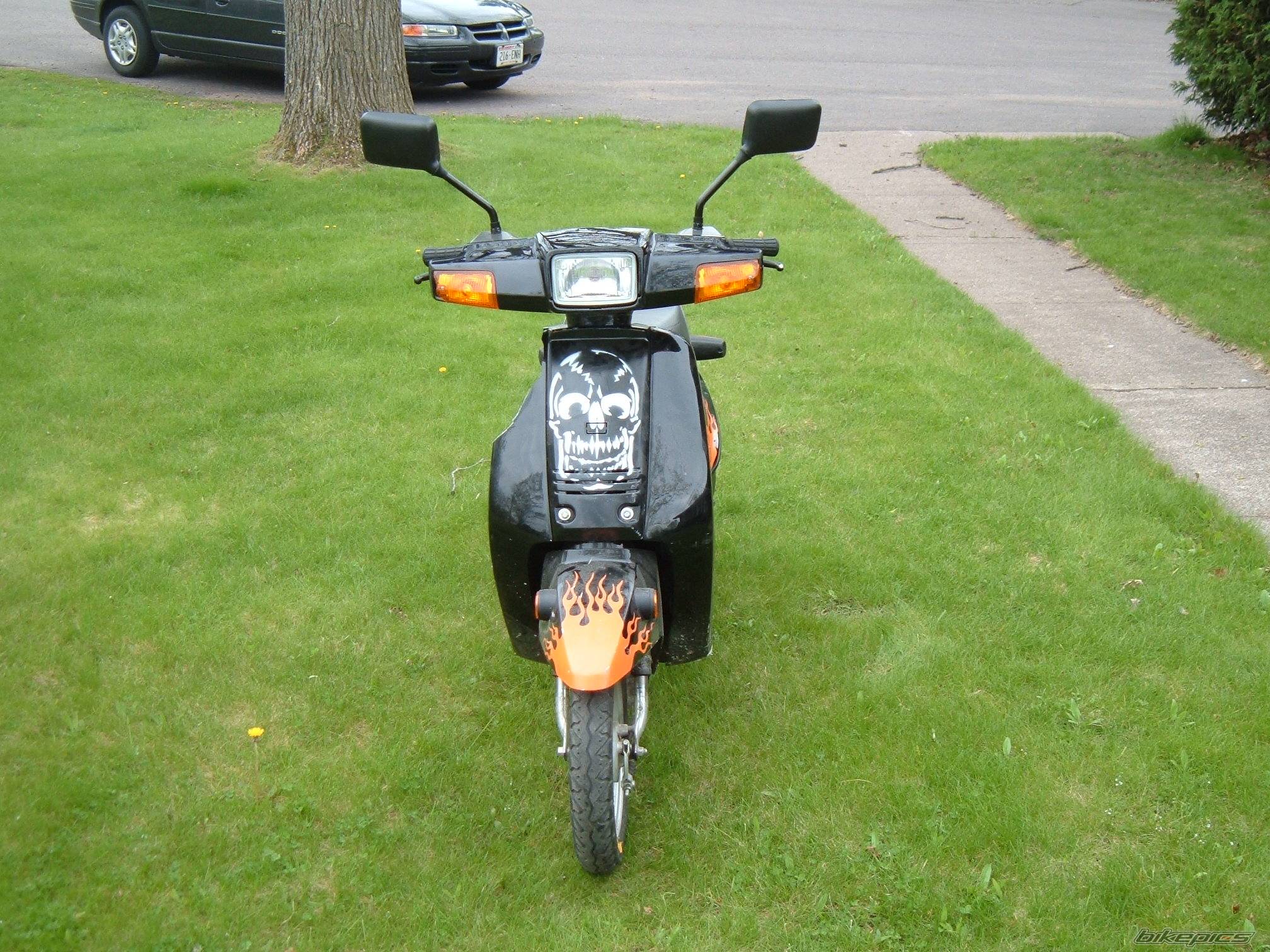 1993 YAMAHA RAZZ | Picture 370400 motorcycle photo