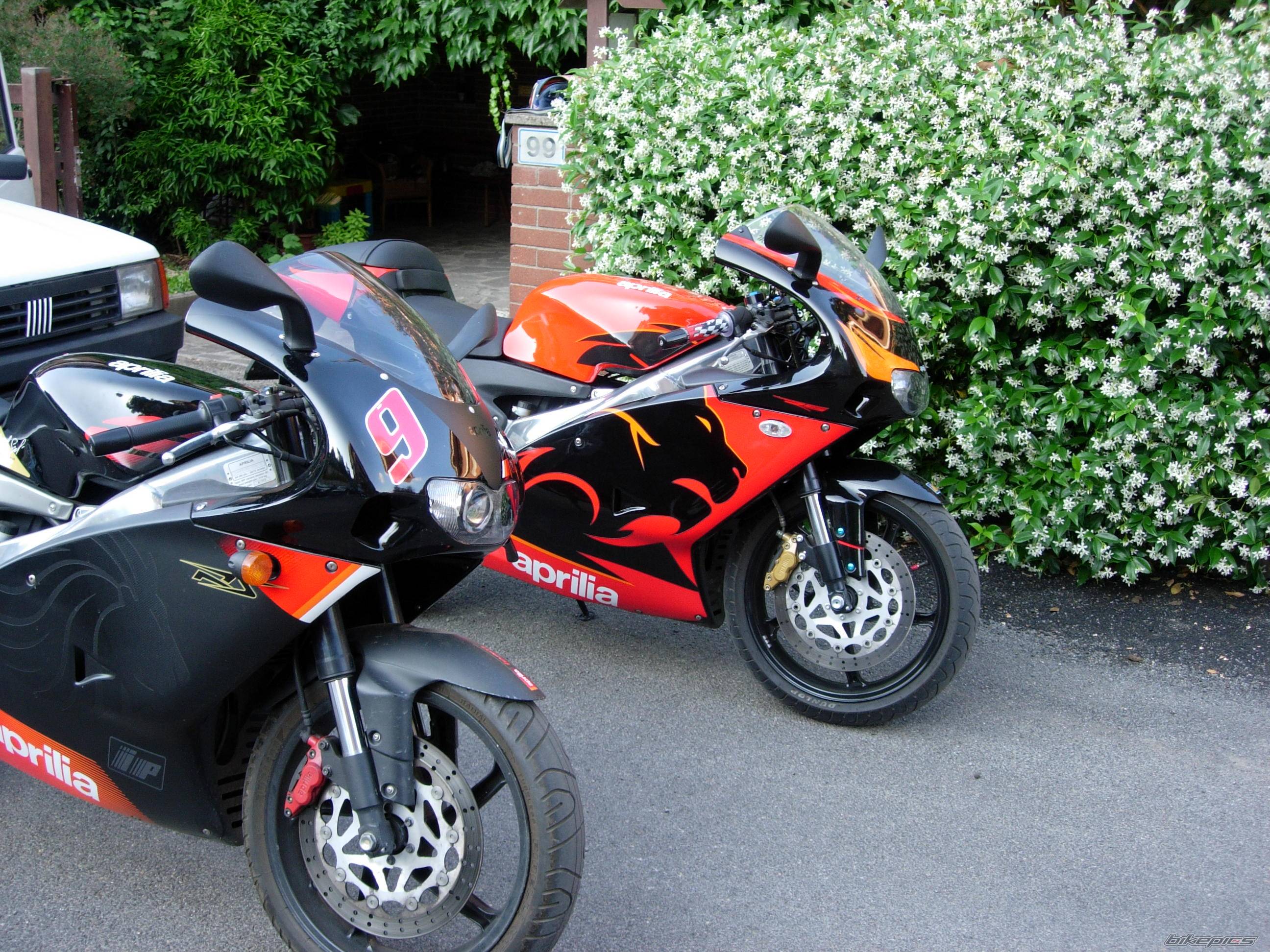 2005 APRILIA RS 125 | Picture 370485 motorcycle photo