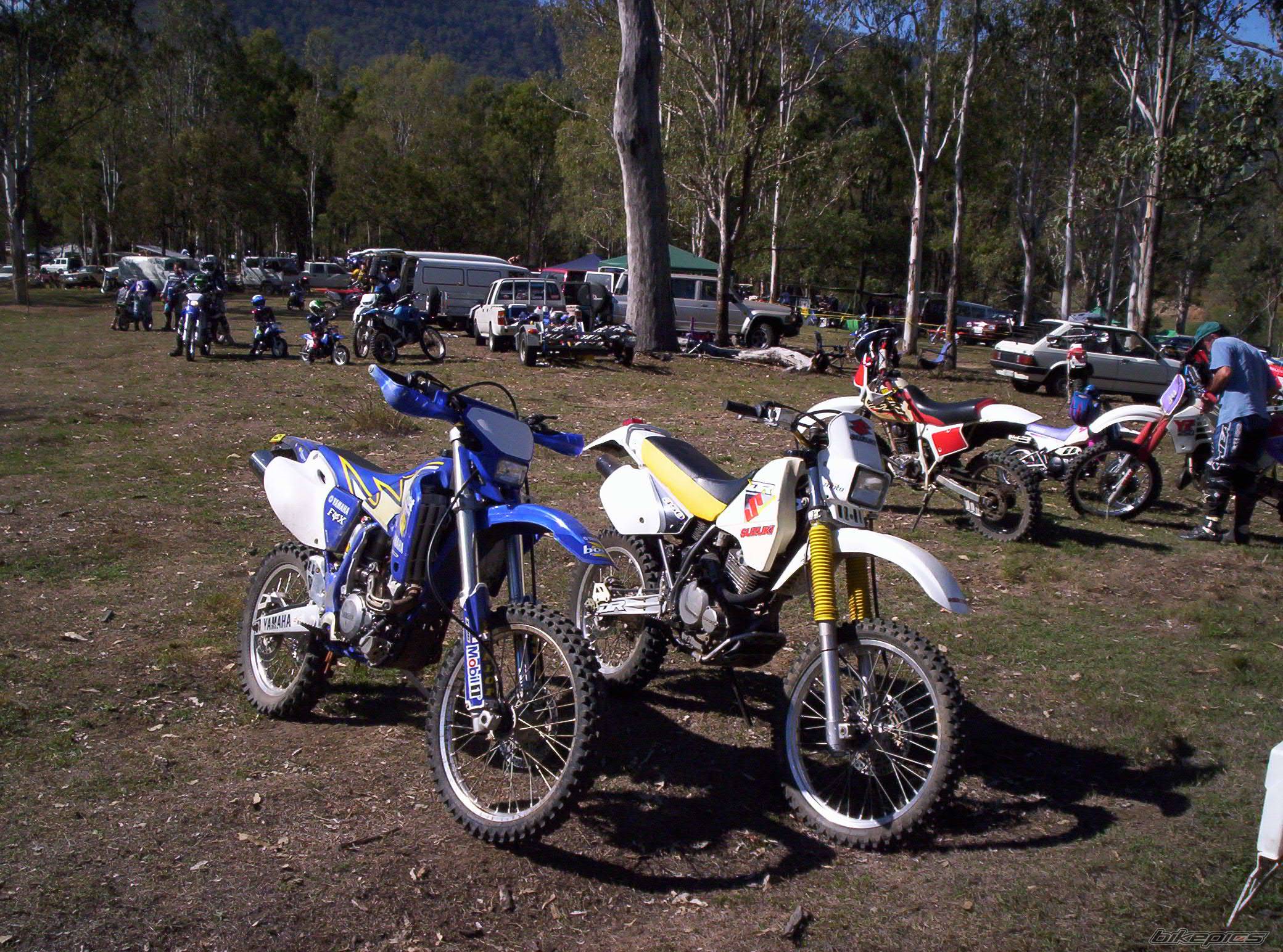 1999 SUZUKI DR 350 | Picture 370701 motorcycle photo