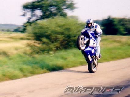 2001 YAMAHA YZF R6 | Picture 37096 motorcycle photo