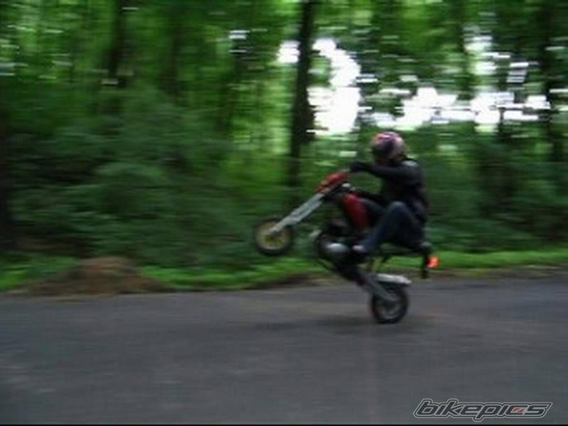 2005 WSK STREETFIGHTER | Picture 371361 motorcycle photo