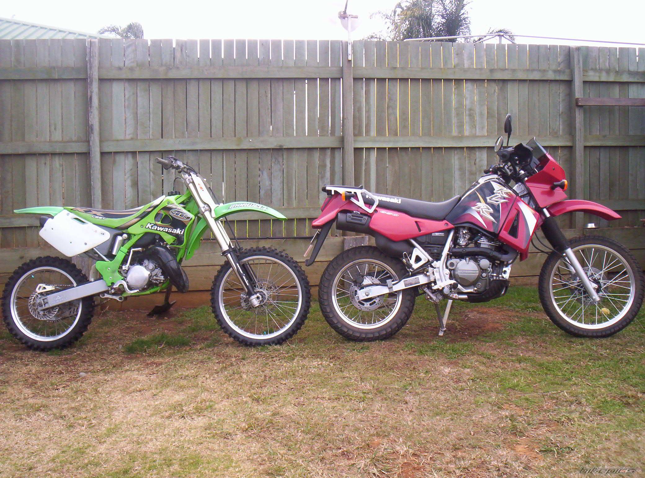 2005 KAWASAKI KLR 650 | Picture 371657 motorcycle photo