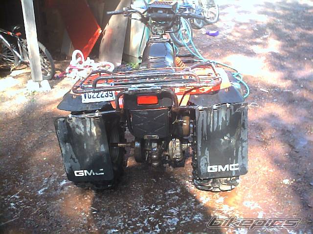 1988 SUZUKI QUAD RUNNER 300 | Picture 371912 motorcycle photo