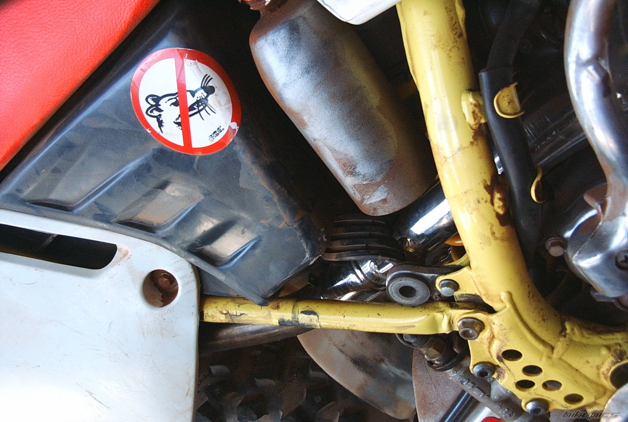 2002 HONDA CR 500 | Picture 372104 motorcycle photo