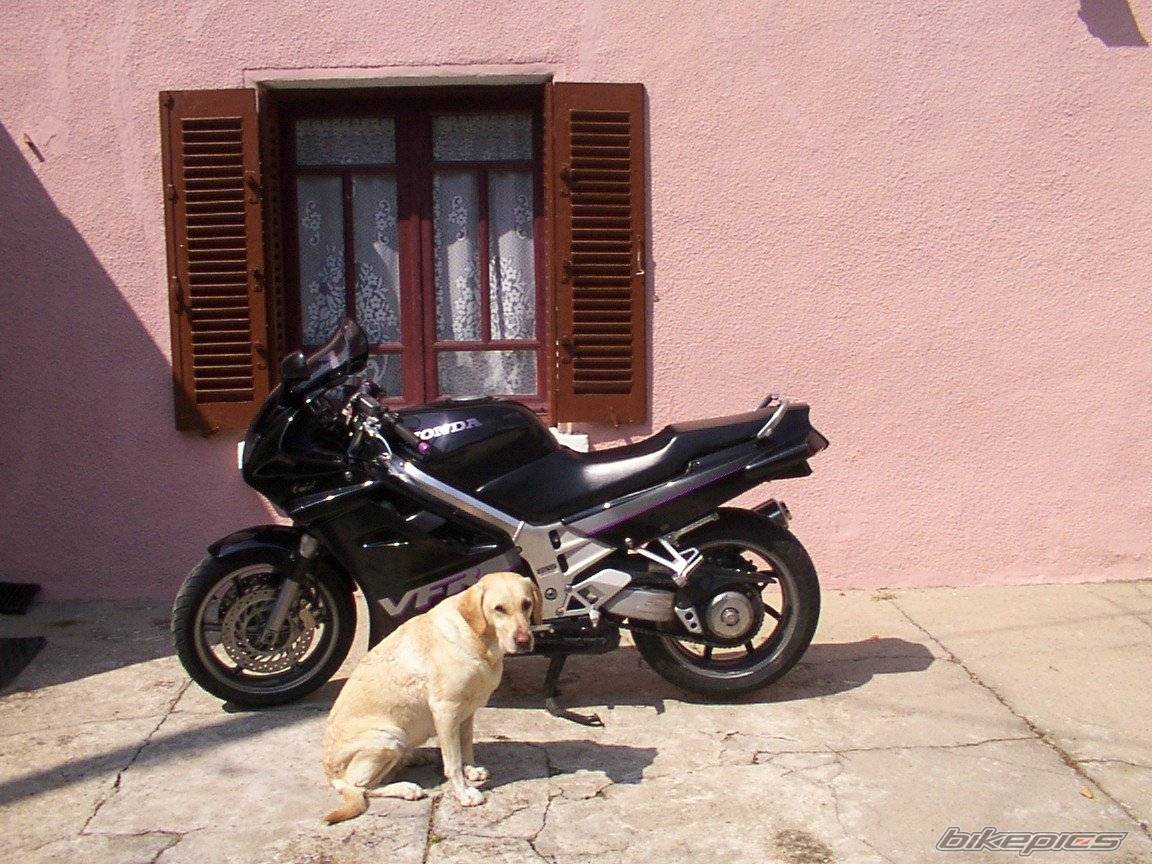 1993 HONDA VFR 750 | Picture 37221 motorcycle photo