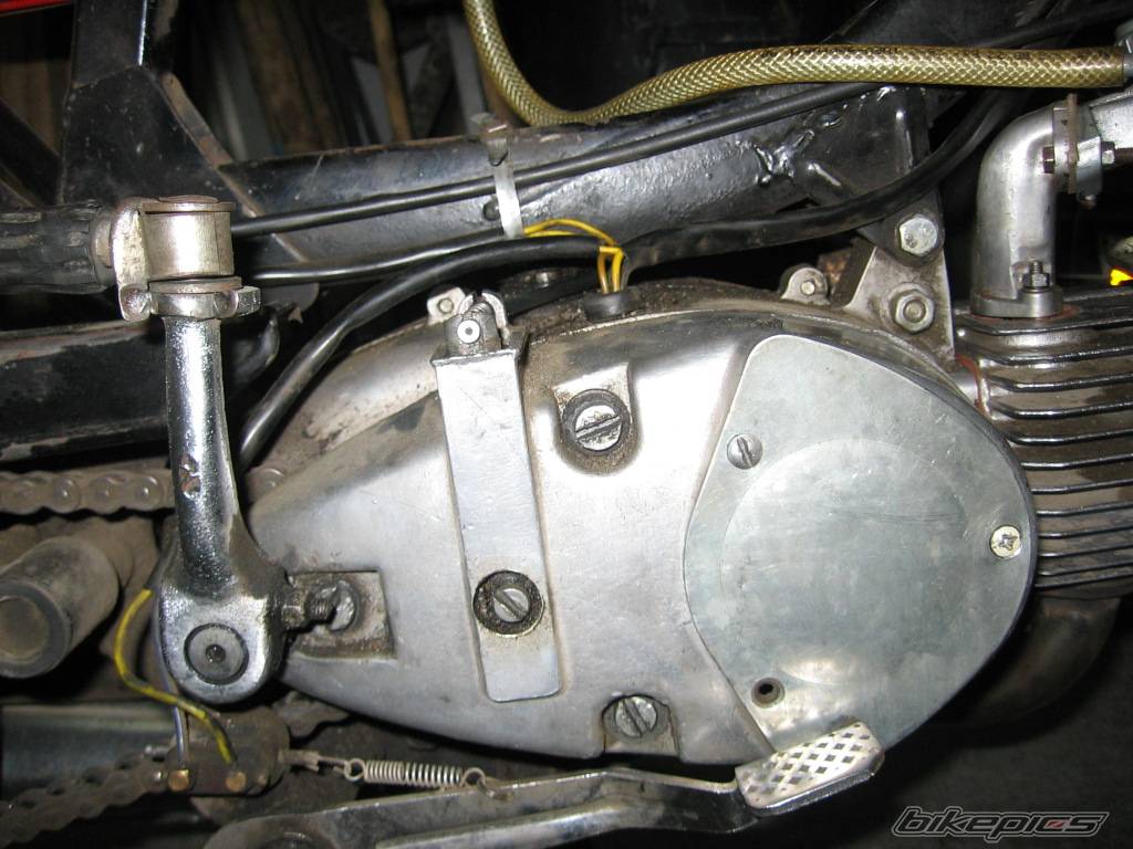 1979 JAWA MUSTANG 50 | Picture 372688 motorcycle photo