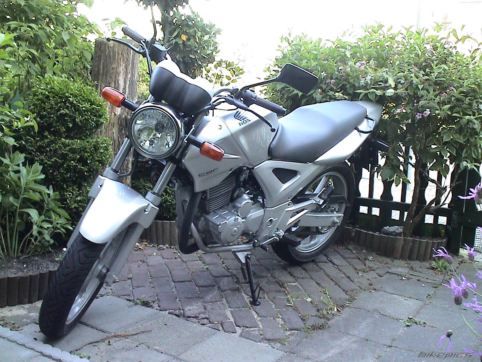 2005 HONDA CBF 250 | Picture 372779 motorcycle photo
