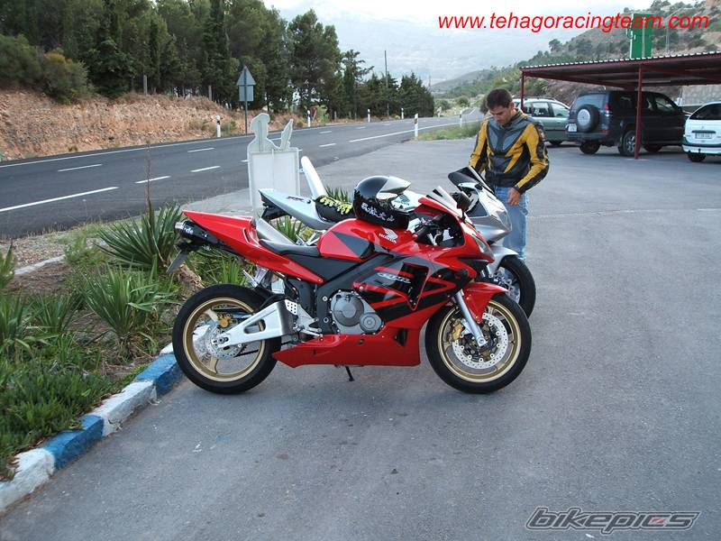 2004 HONDA CBR 600 | Picture 373065 motorcycle photo