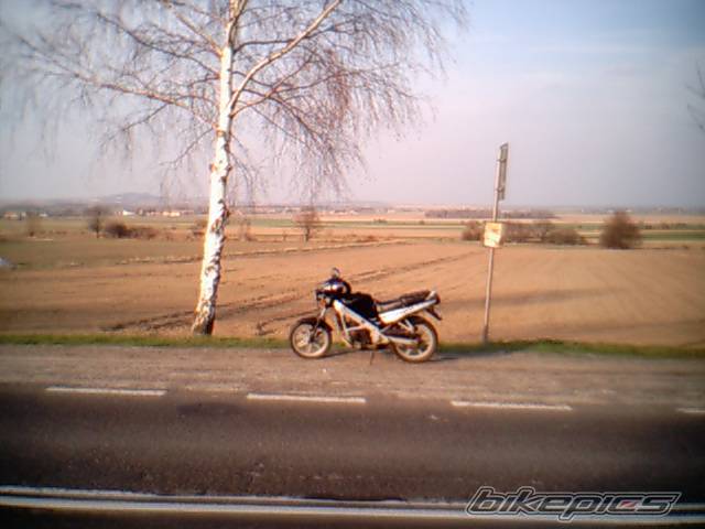 1995 CASAL MAGNUM | Picture 373099 motorcycle photo