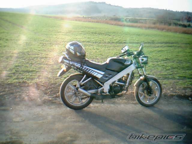 1995 CASAL MAGNUM | Picture 373101 motorcycle photo