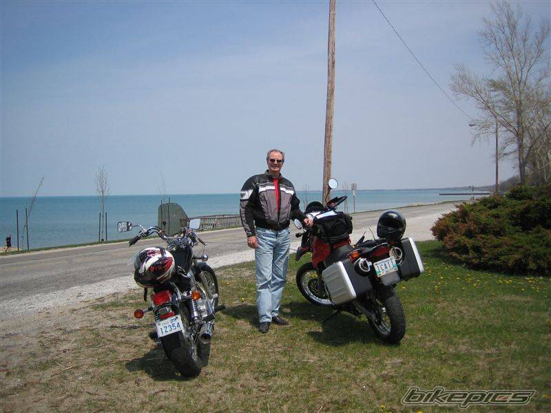 1986 SUZUKI SAVAGE | Picture 373197 motorcycle photo