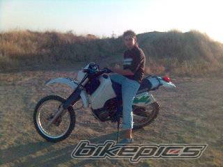1990 SUZUKI DR 350 | Picture 373244 motorcycle photo