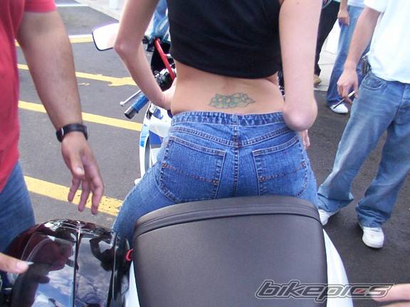 2005 SUZUKI GSX R 250 | Picture 373380 motorcycle photo