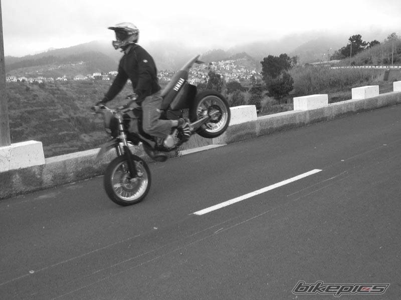 2000 YAMAHA DT 175 | Picture 373450 motorcycle photo