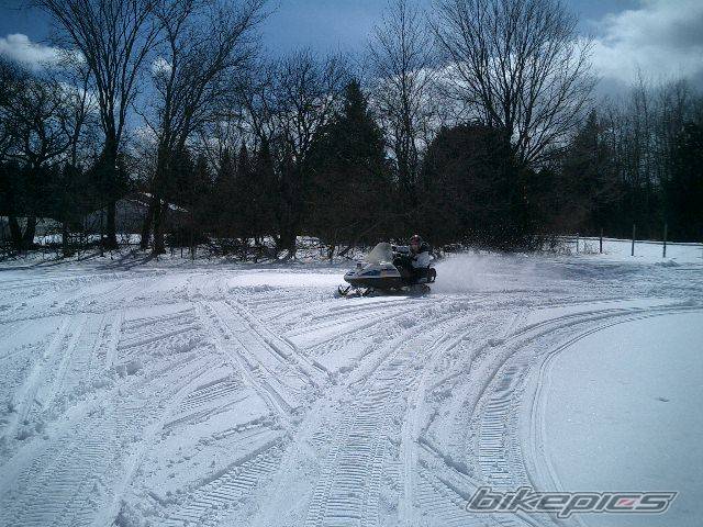 1986 SKI DOO SAFARI CITATION 250 | Picture 373862 motorcycle photo