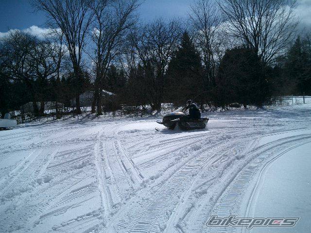 1986 SKI DOO SAFARI CITATION 250 | Picture 373863 motorcycle photo