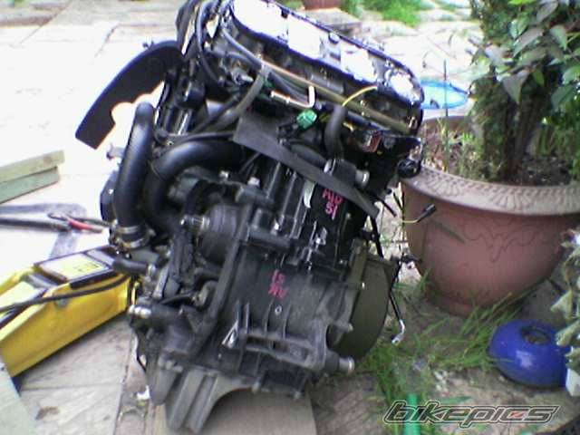 2004 KAWASAKI ZX 10R | Picture 374067 motorcycle photo