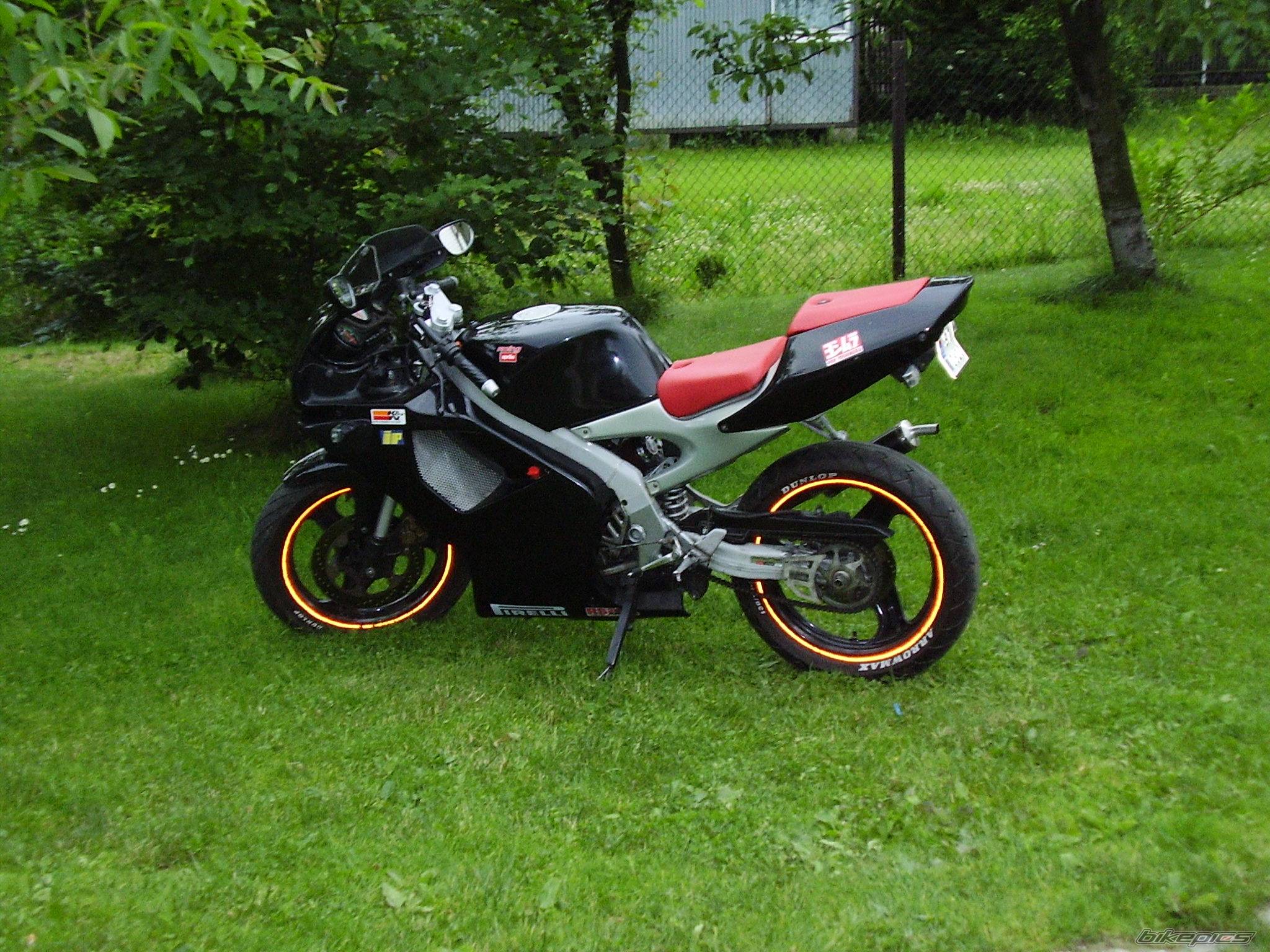 1996 APRILIA RS 50 | Picture 374256 motorcycle photo