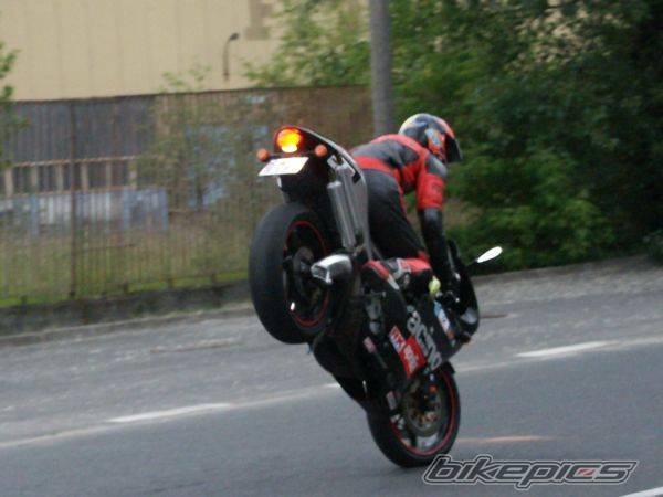 1998 APRILIA RS 250 | Picture 374779 motorcycle photo
