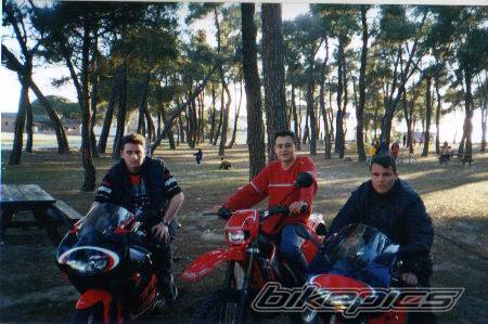 2001 APRILIA RS 50 | Picture 37549 motorcycle photo