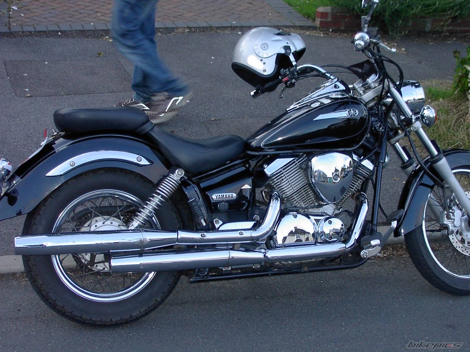 2001 YAMAHA XVS 125 DRAGSTAR | Picture 375493 motorcycle photo