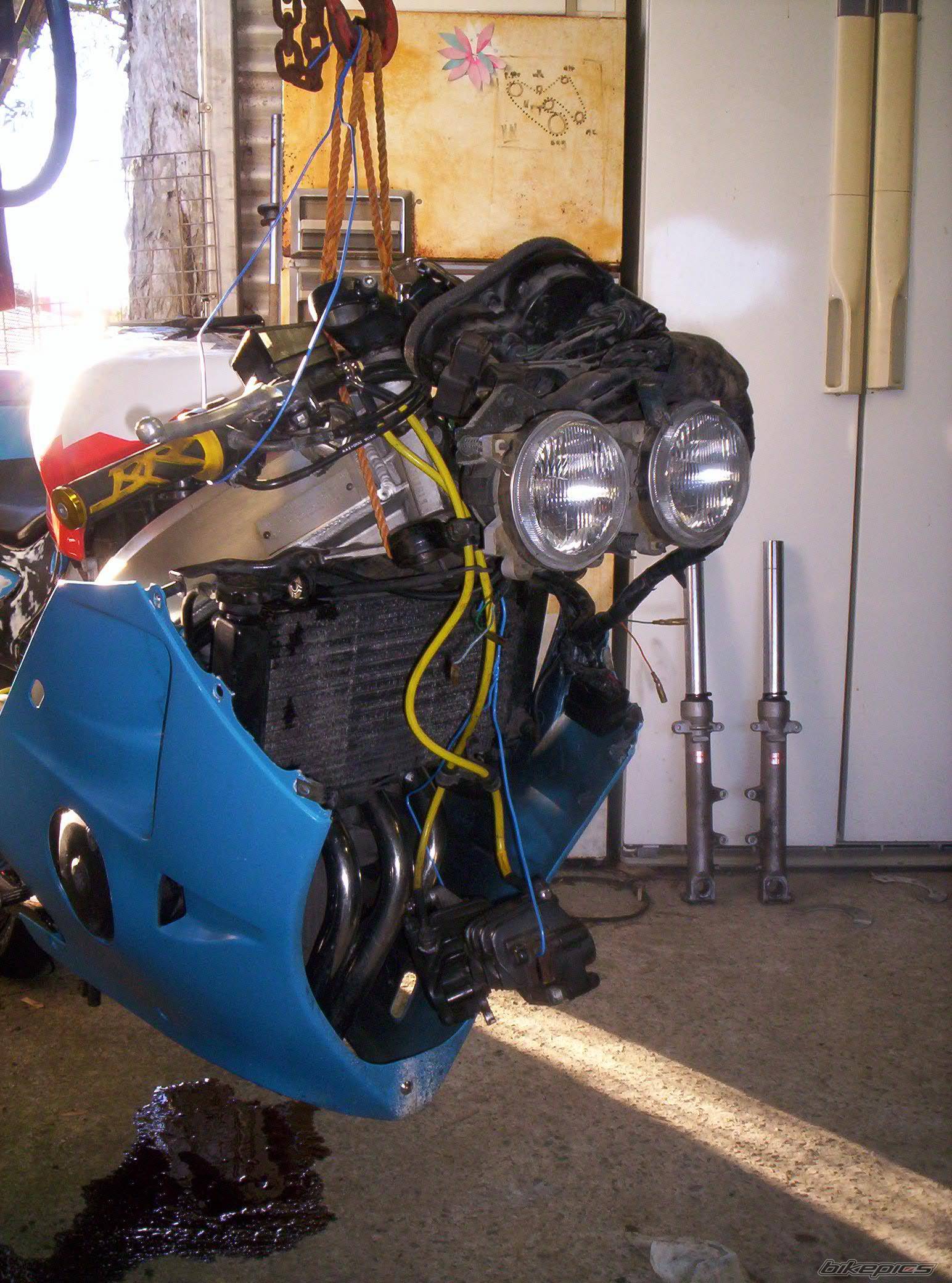 1991 HONDA CBR 250 | Picture 375624 motorcycle photo