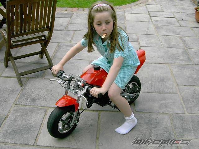2005 BLATA REPLICA | Picture 376010 motorcycle photo