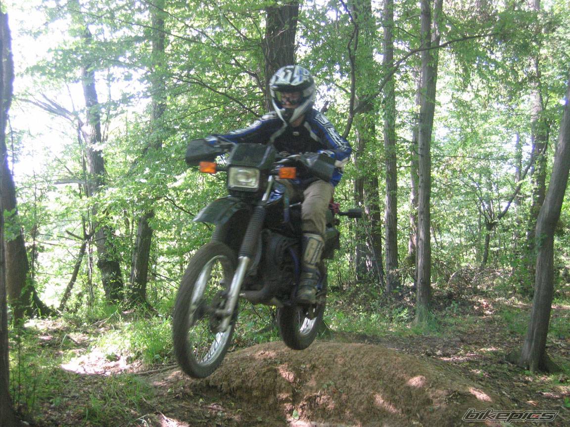 1995 YAMAHA DT 80 | Picture 376222 motorcycle photo