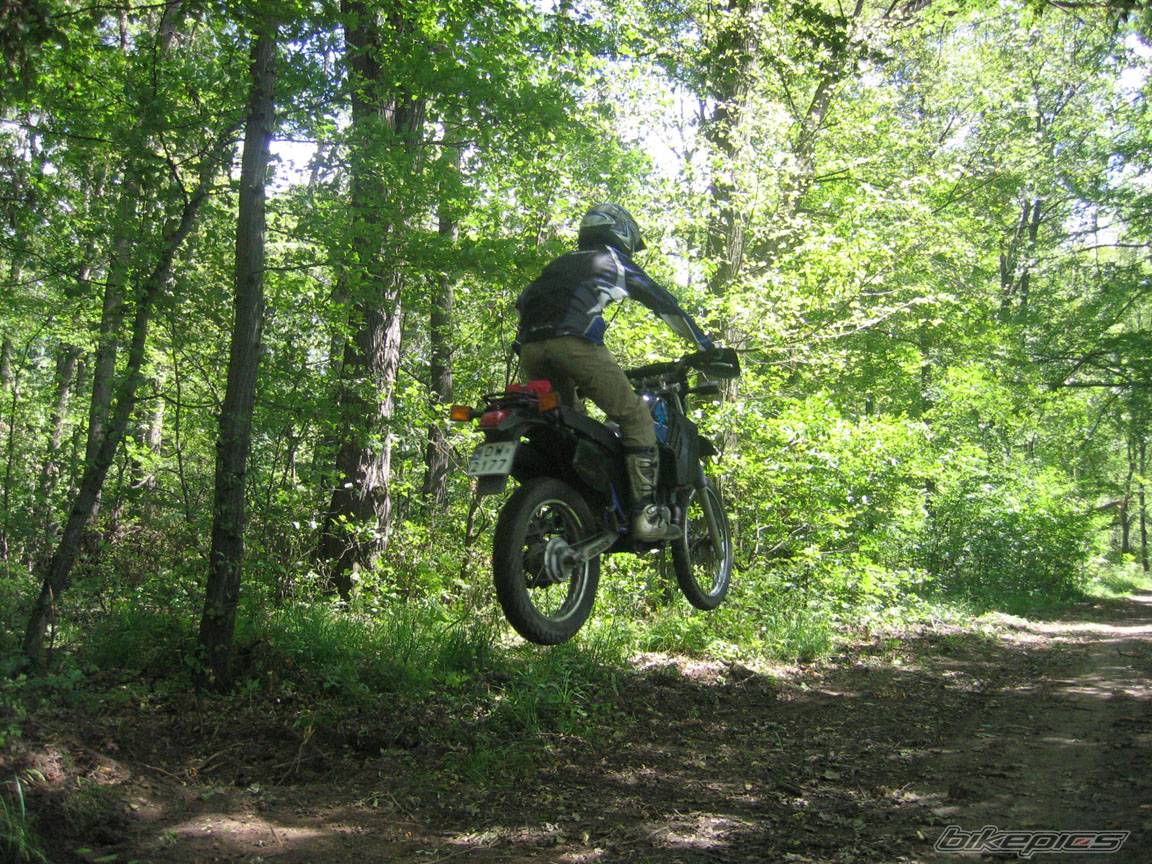 1995 YAMAHA DT 80 | Picture 376223 motorcycle photo