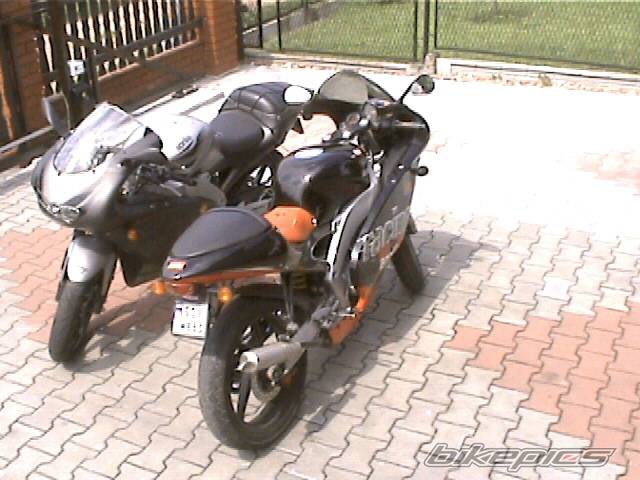1999 APRILIA RS 50 | Picture 376269 motorcycle photo
