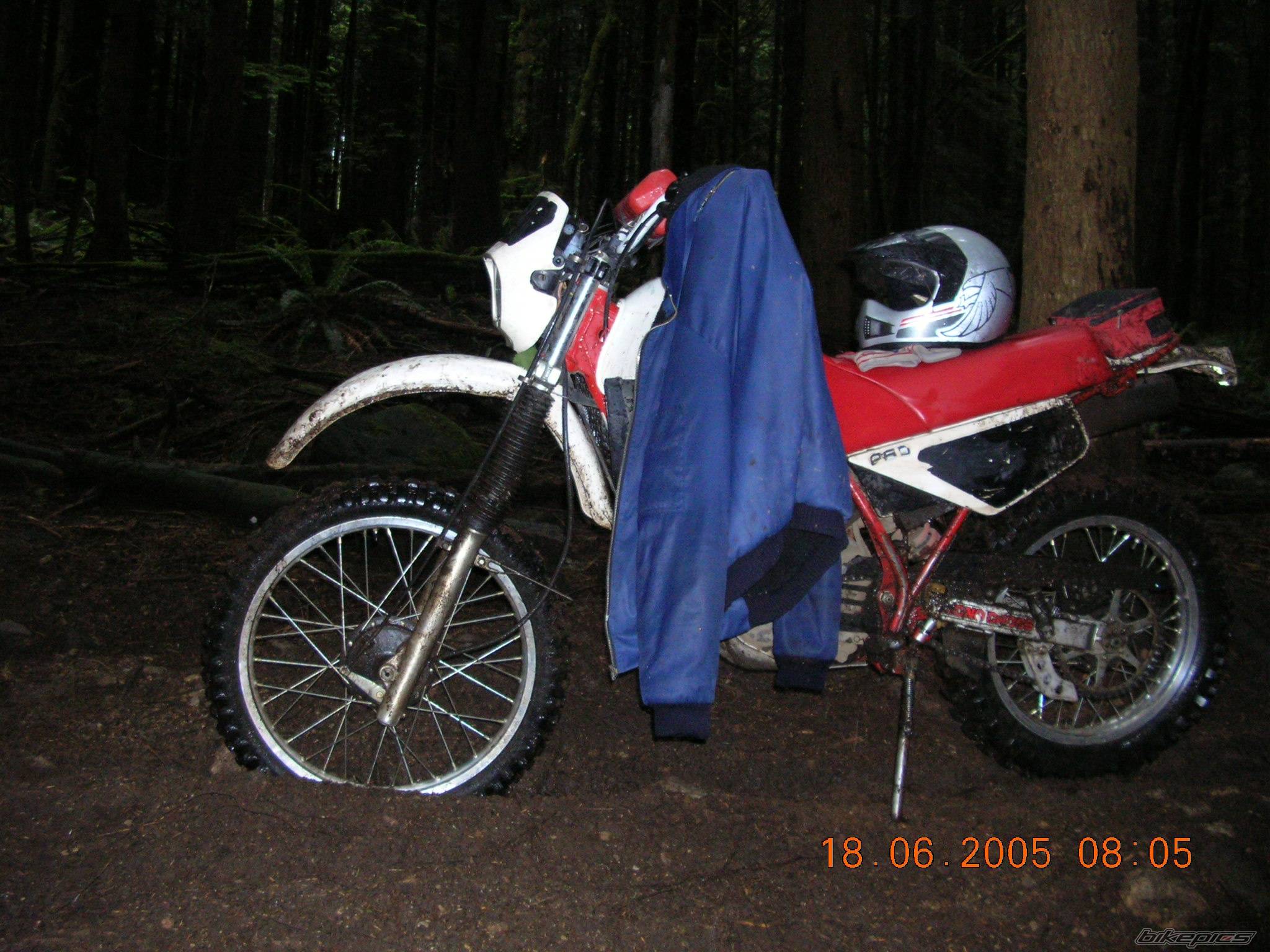 1984 YAMAHA XT 250 | Picture 376387 motorcycle photo