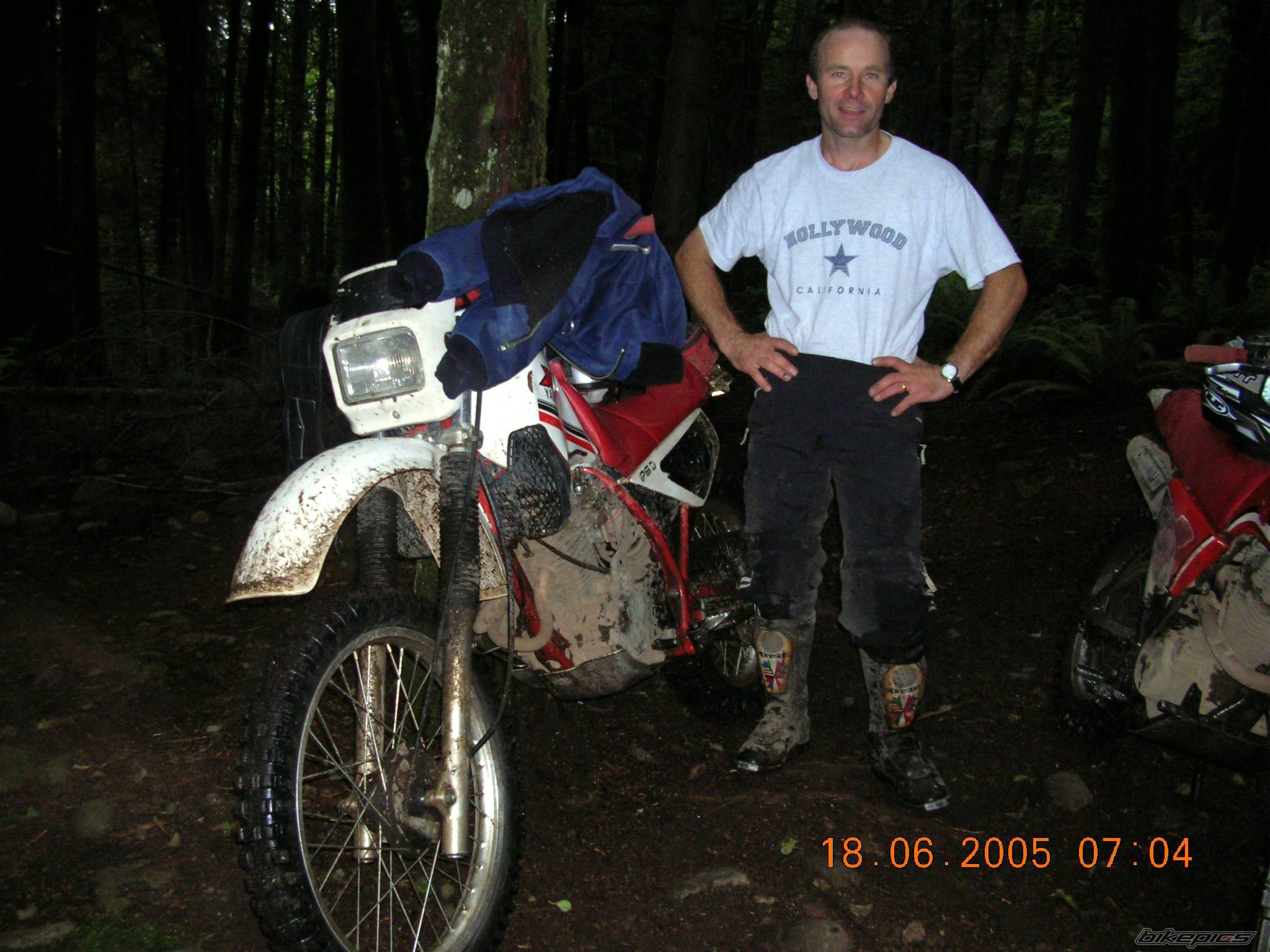1984 YAMAHA XT 250 | Picture 376398 motorcycle photo