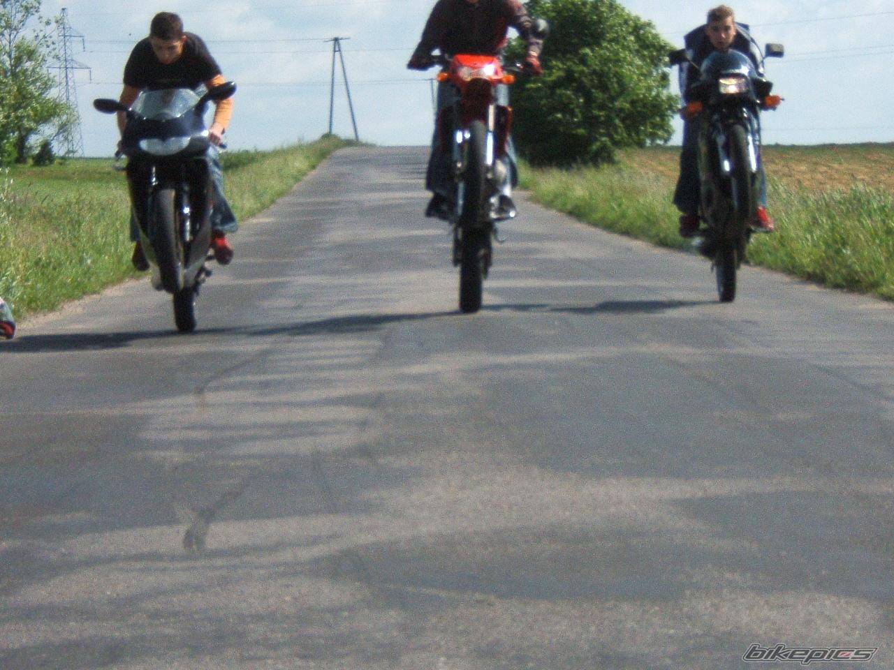 1994 SUZUKI RG 80 | Picture 376459 motorcycle photo