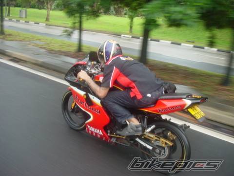 1998 YAMAHA TZM 150 | Picture 376483 motorcycle photo